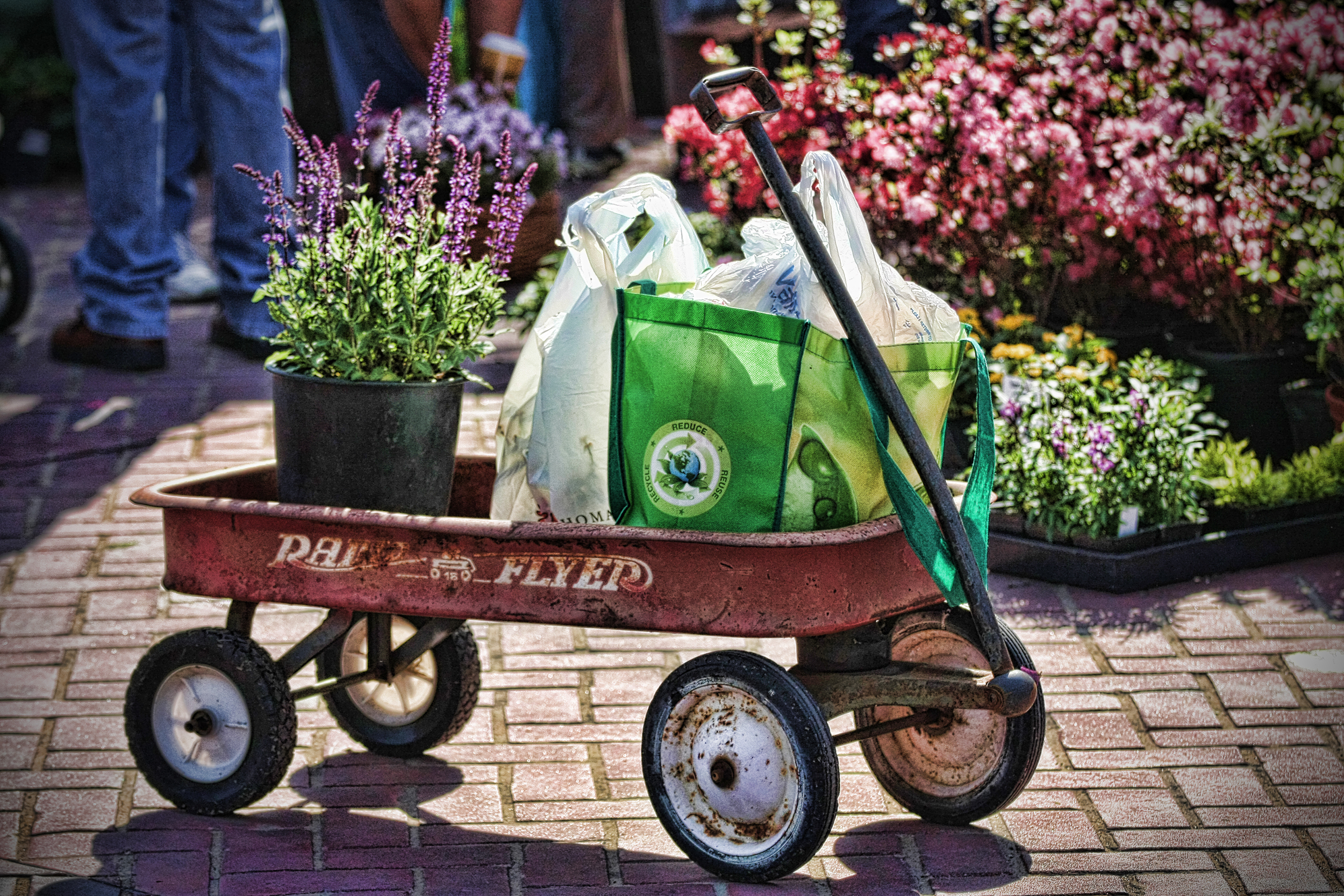 Radio Flyer_4224